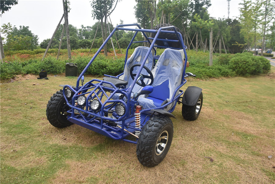 Brief : 300CC Two Seaters Go Kart with Double Chain Power Transmission. 
