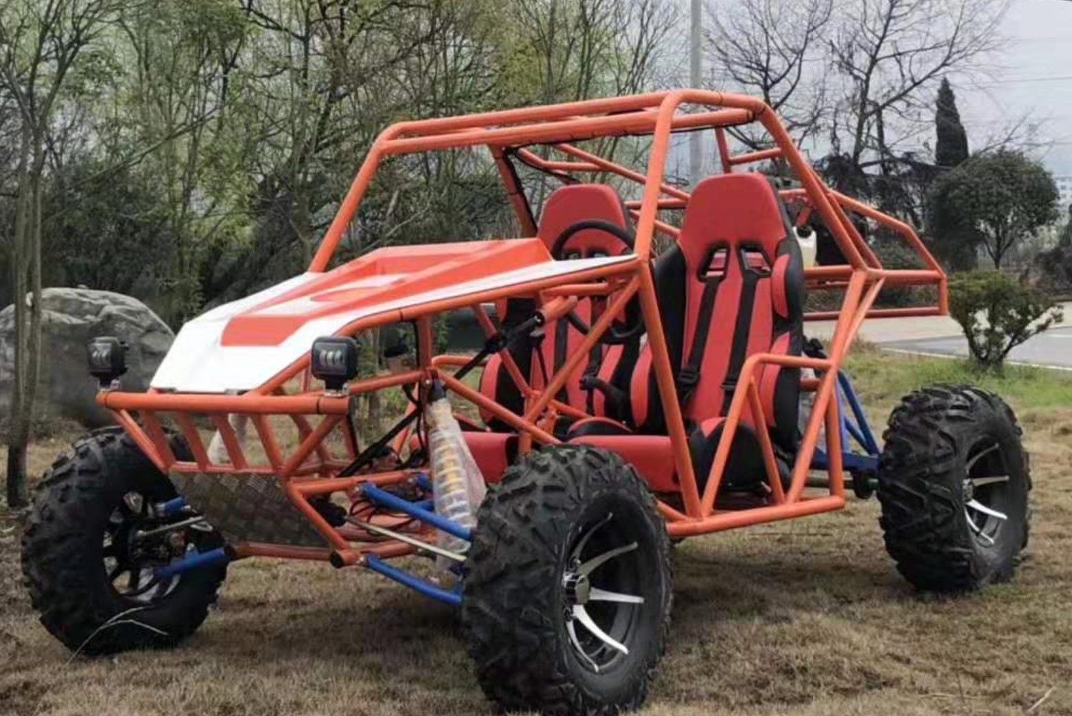 2 seater off road buggy